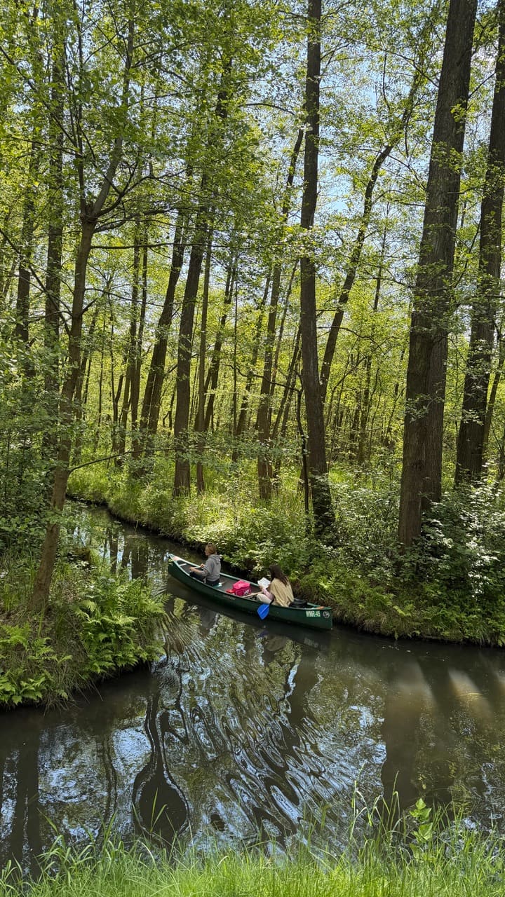 Paddeltour im Kanu durch den Spreewald
