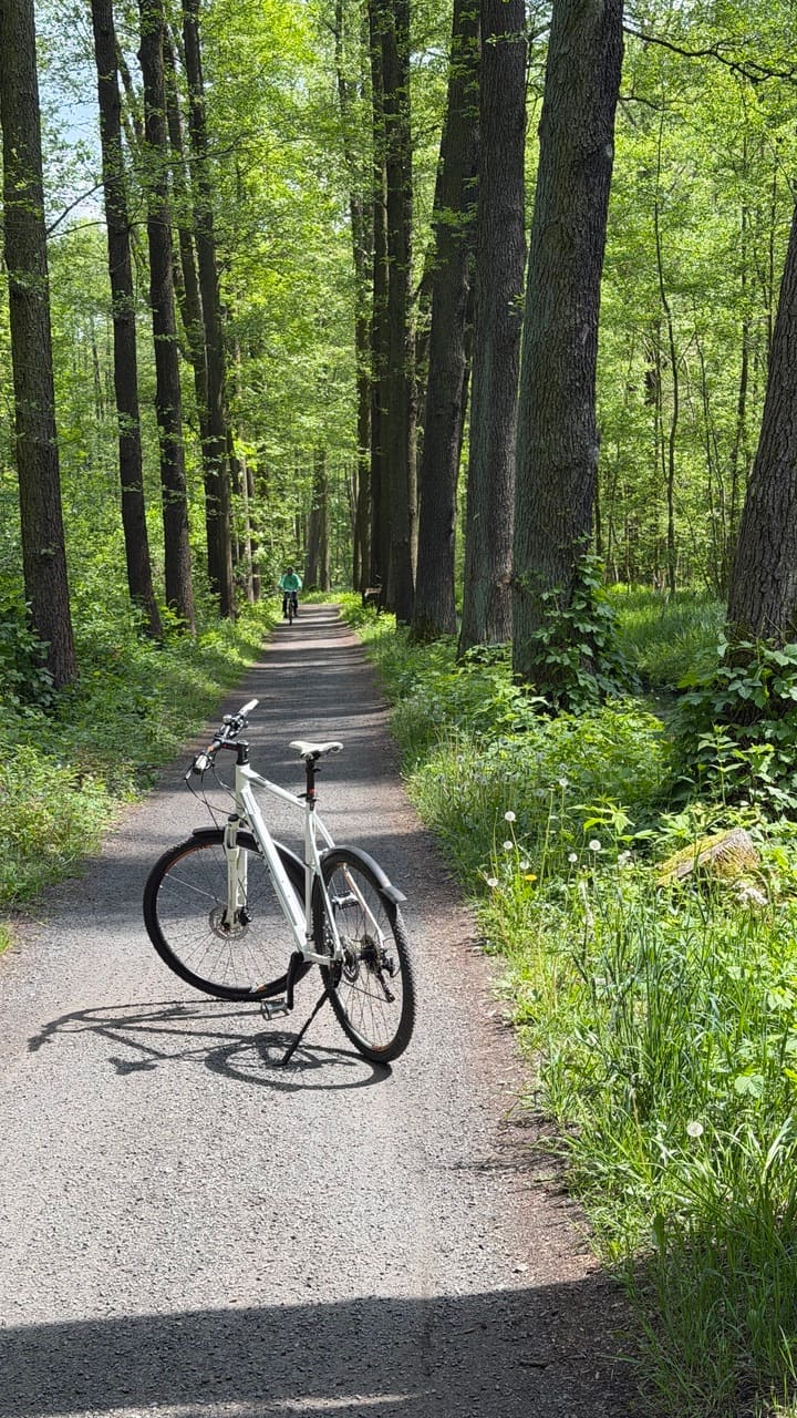 Radweg durch den Spreewald